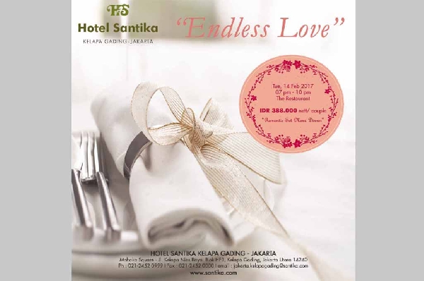 ENDLESS LOVE 